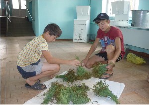 �����������