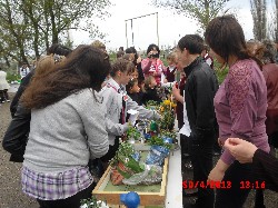 �����������