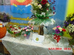 �����������