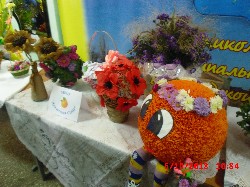 �����������