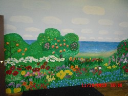 �����������